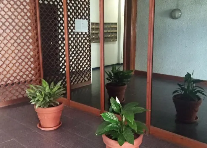 Aurelia Begonia - Family & Business Roma
